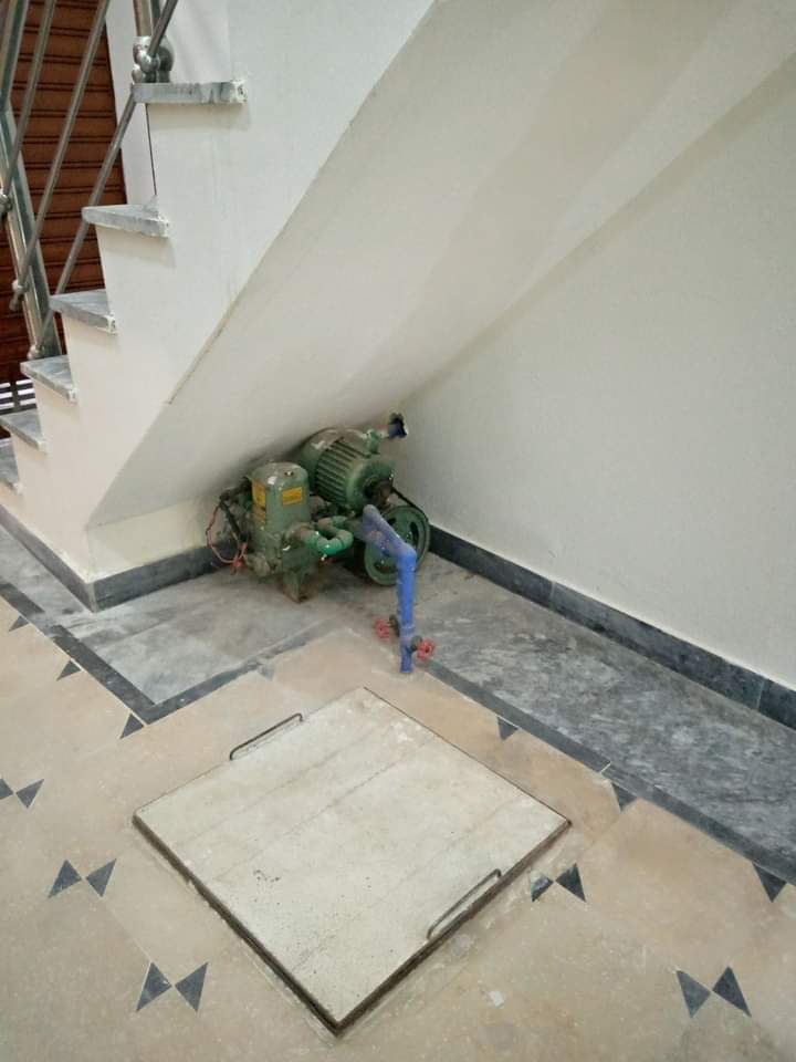 FB_IMG_1731636615316