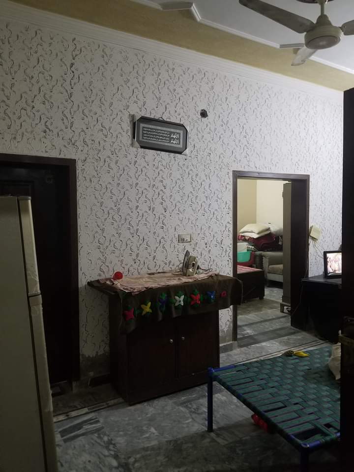 FB_IMG_1731637118640