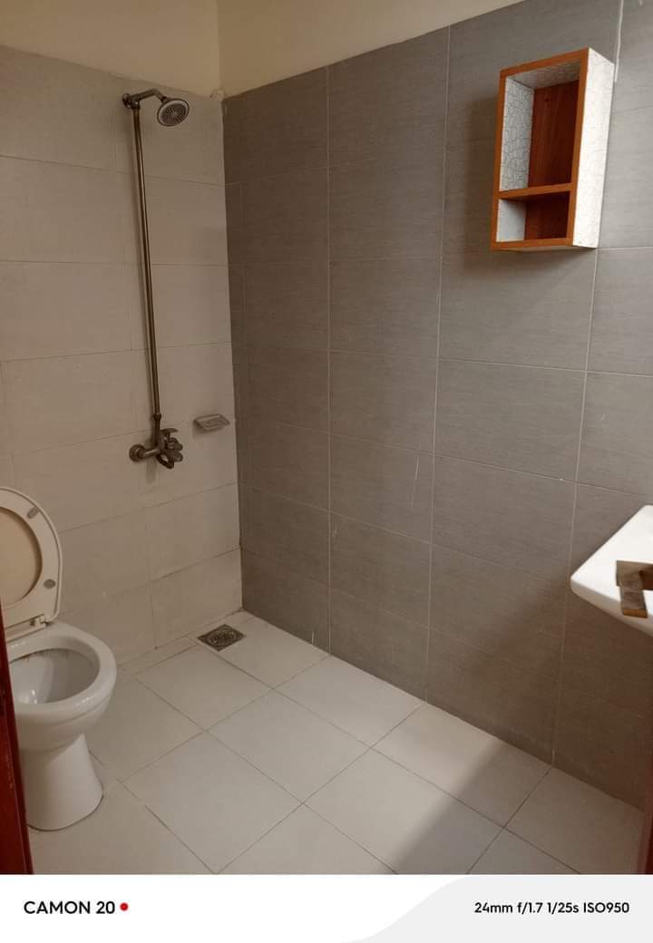 FB_IMG_1731653622171