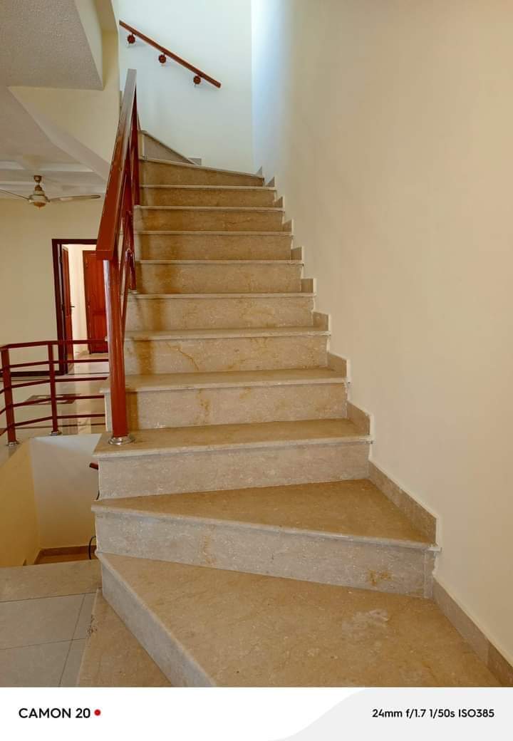 FB_IMG_1731653632598