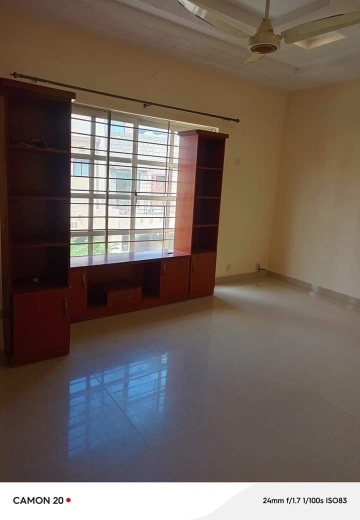 FB_IMG_1731653634420