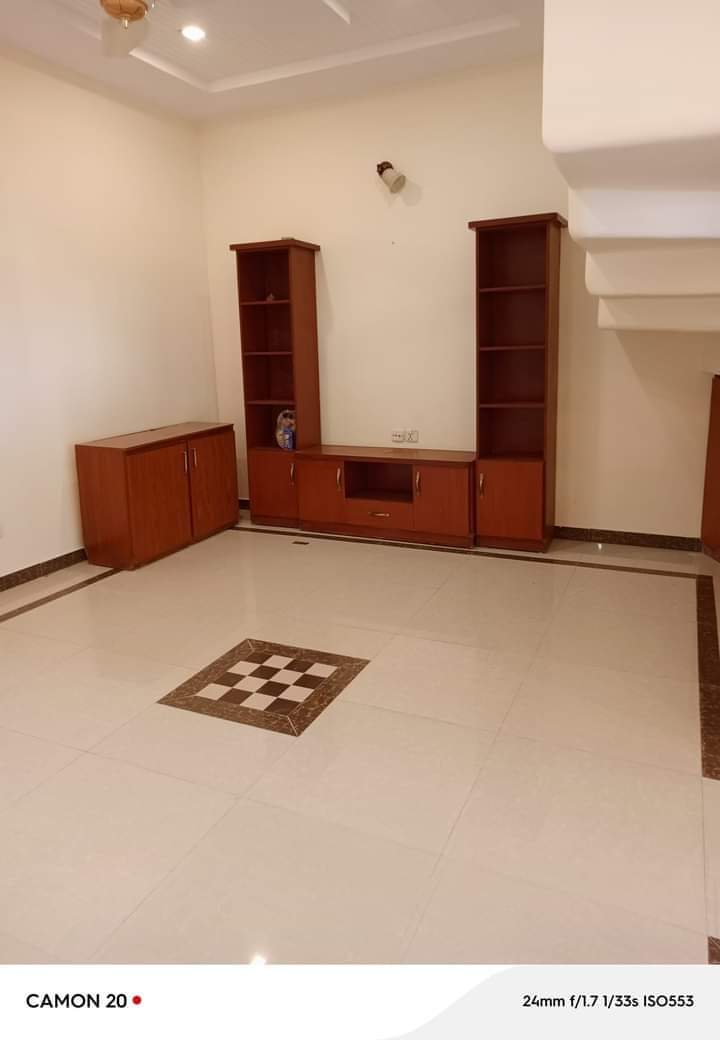 FB_IMG_1731653645029