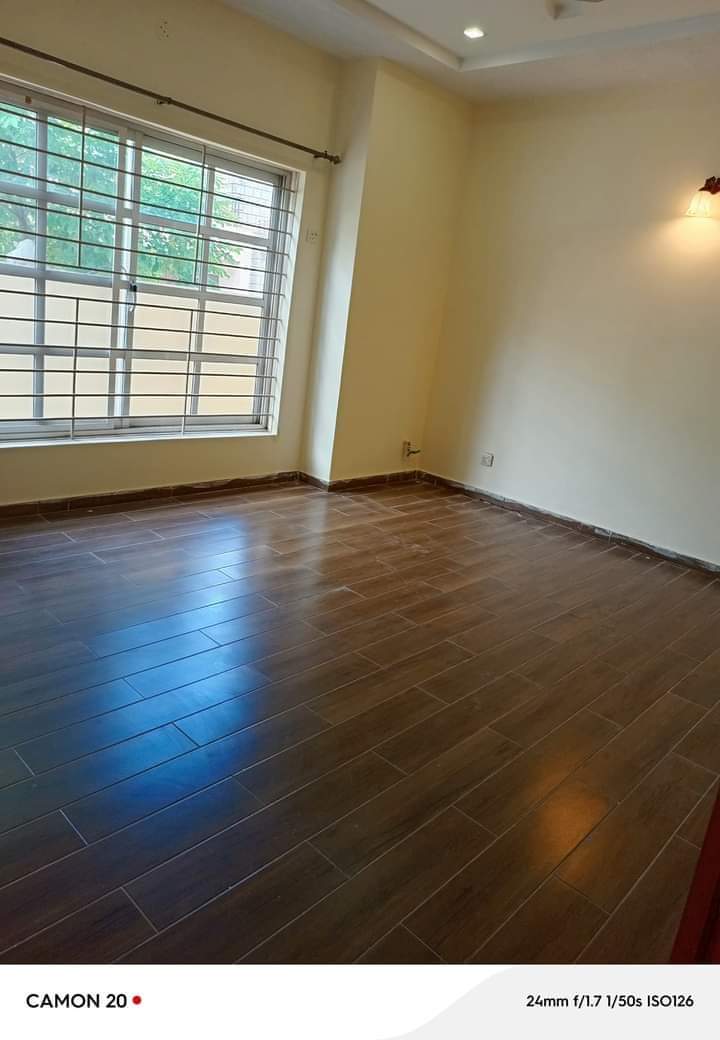 FB_IMG_1731653648391