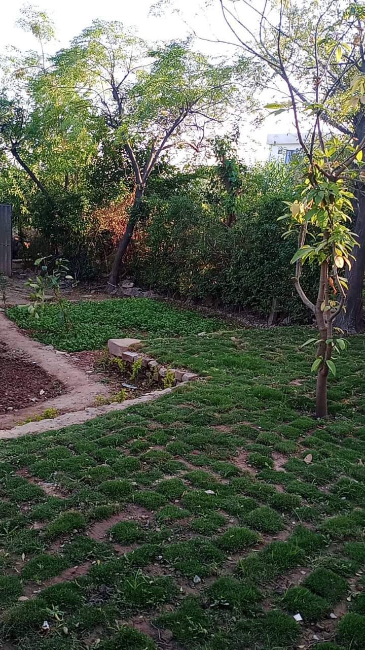 FB_IMG_1731672345315