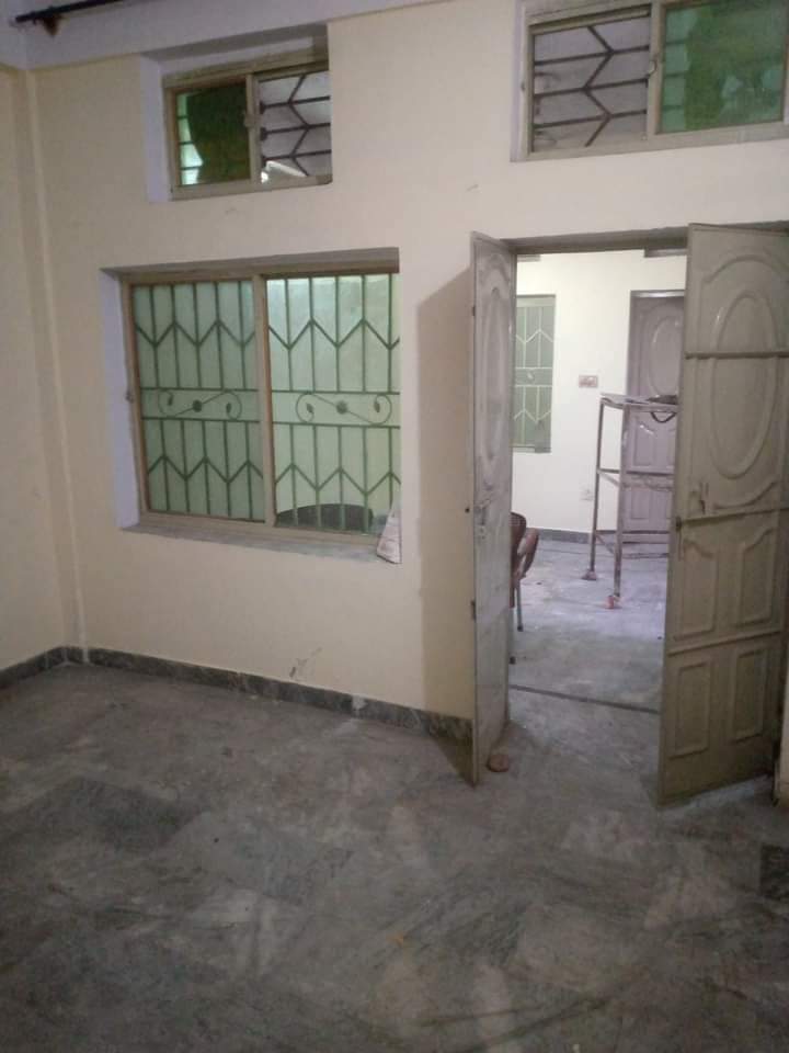 FB_IMG_1731673063078