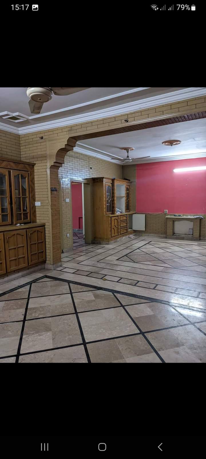 FB_IMG_1731683657993