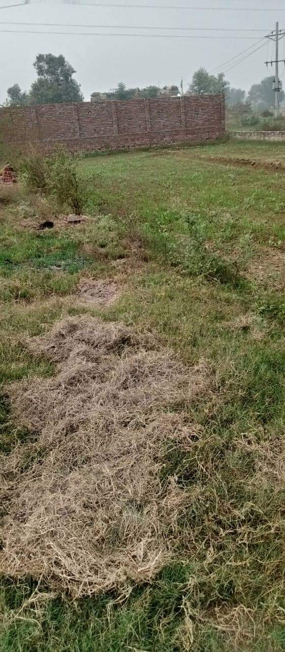 FB_IMG_1731722512750