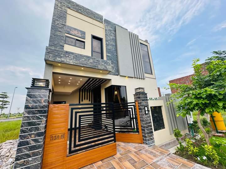 FB_IMG_1731757881580