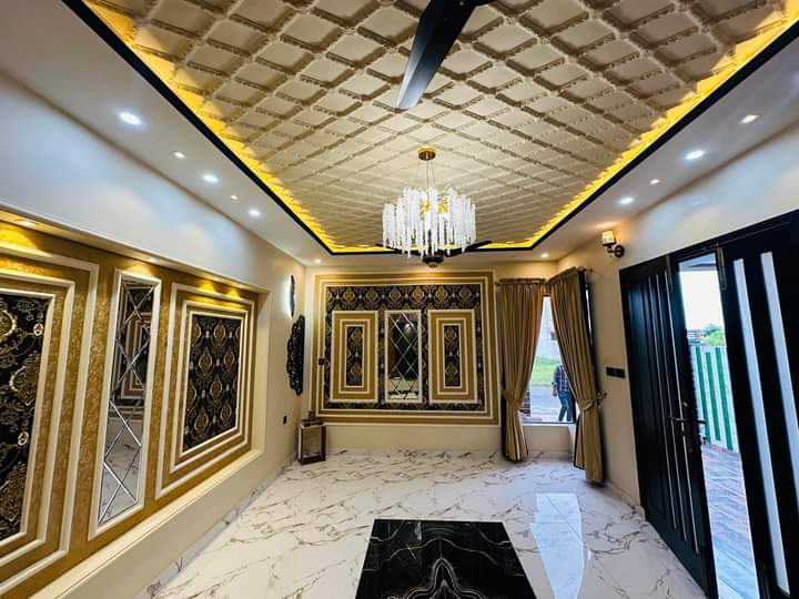 FB_IMG_1731757888799