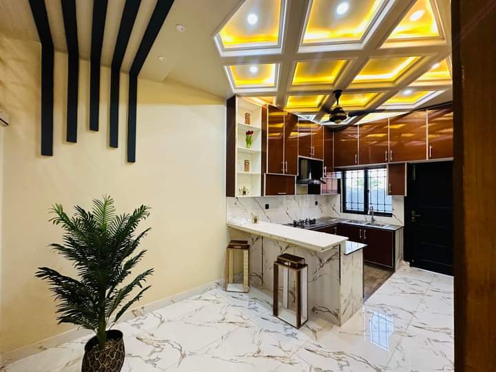 FB_IMG_1731757891010