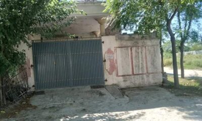 FB_IMG_1731910952086