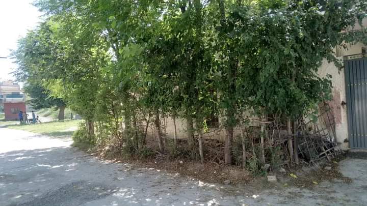 FB_IMG_1731910954217