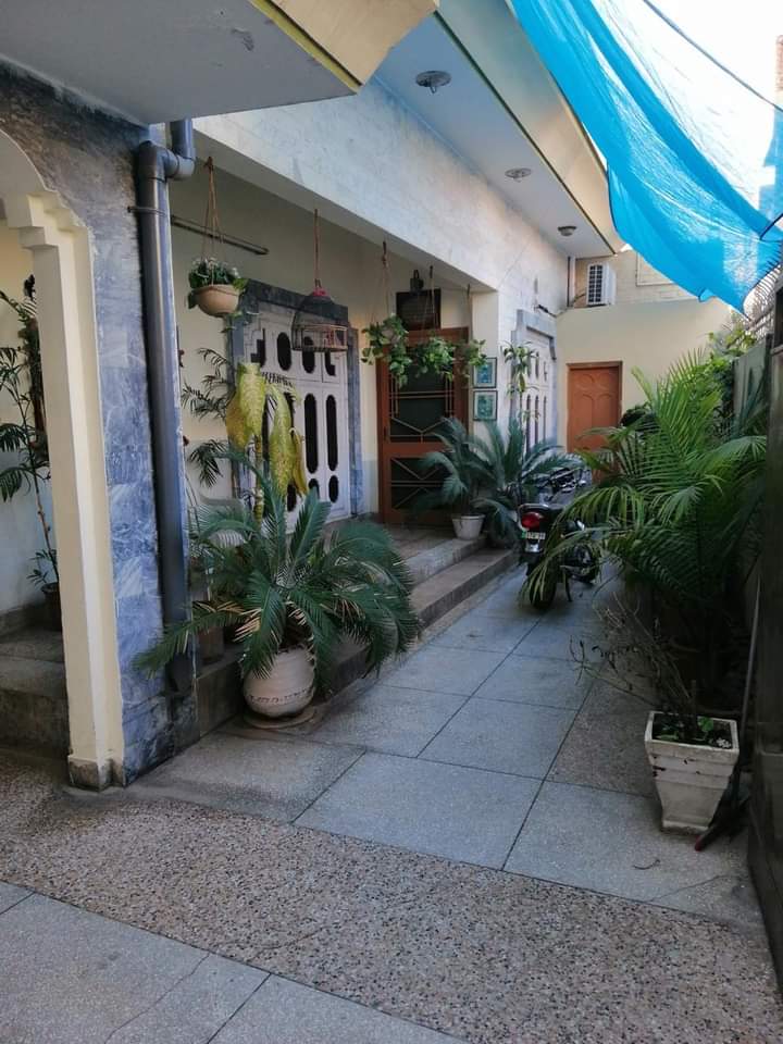 FB_IMG_1732029345688