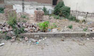 FB_IMG_1732033332311