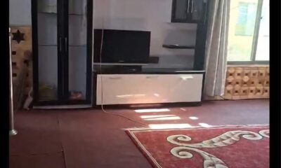 FB_IMG_1732166773013