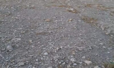 FB_IMG_1732167841710