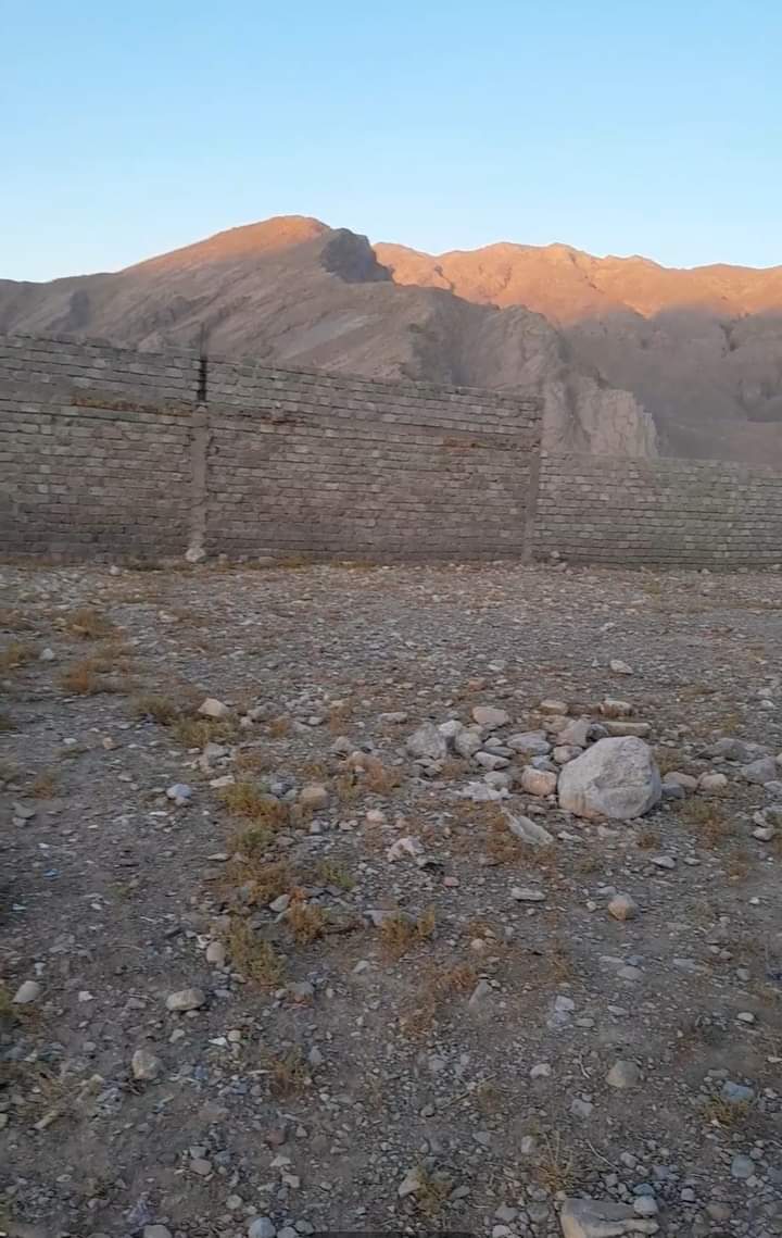 FB_IMG_1732167843378