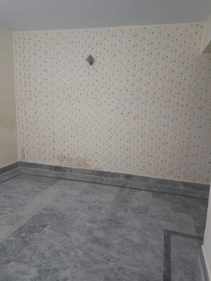 FB_IMG_1732210404124