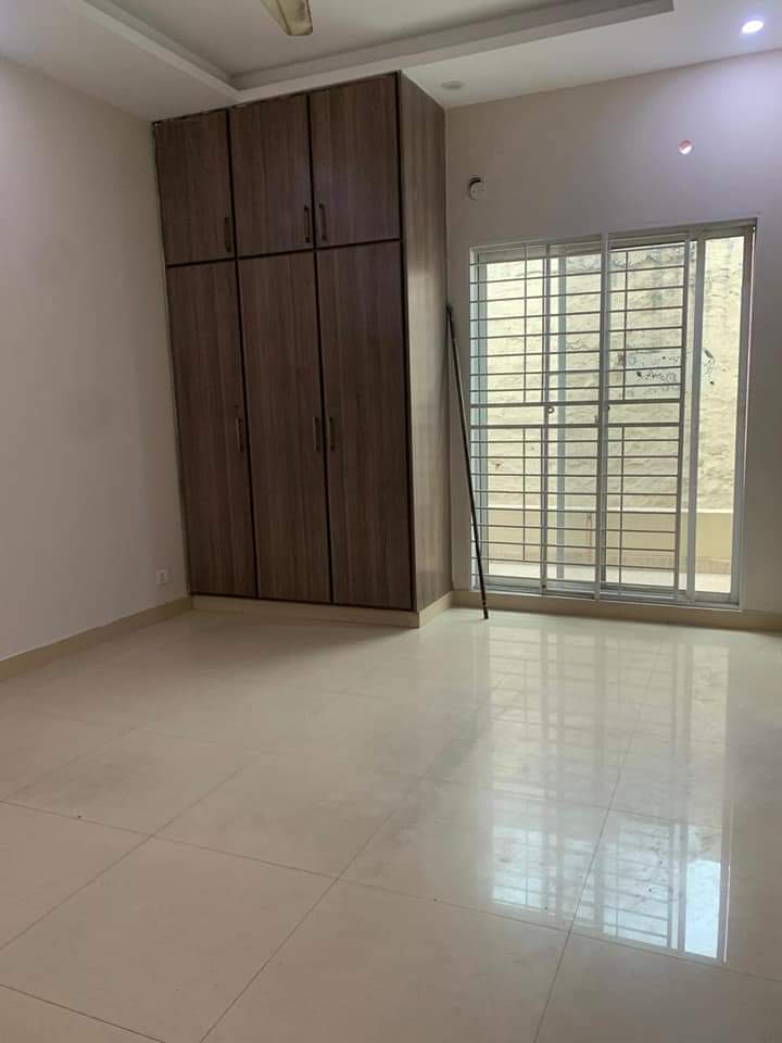 FB_IMG_1732211363416