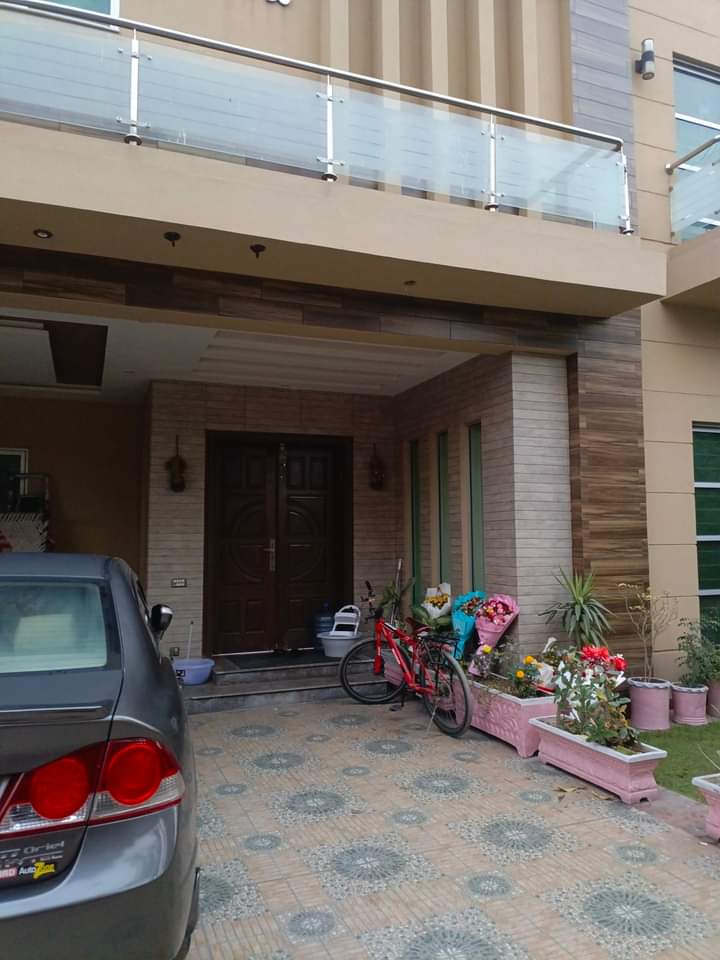 FB_IMG_1732211795944