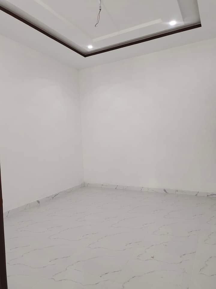 FB_IMG_1732262483685