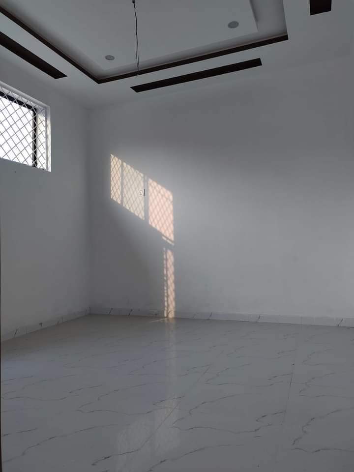 FB_IMG_1732262492725