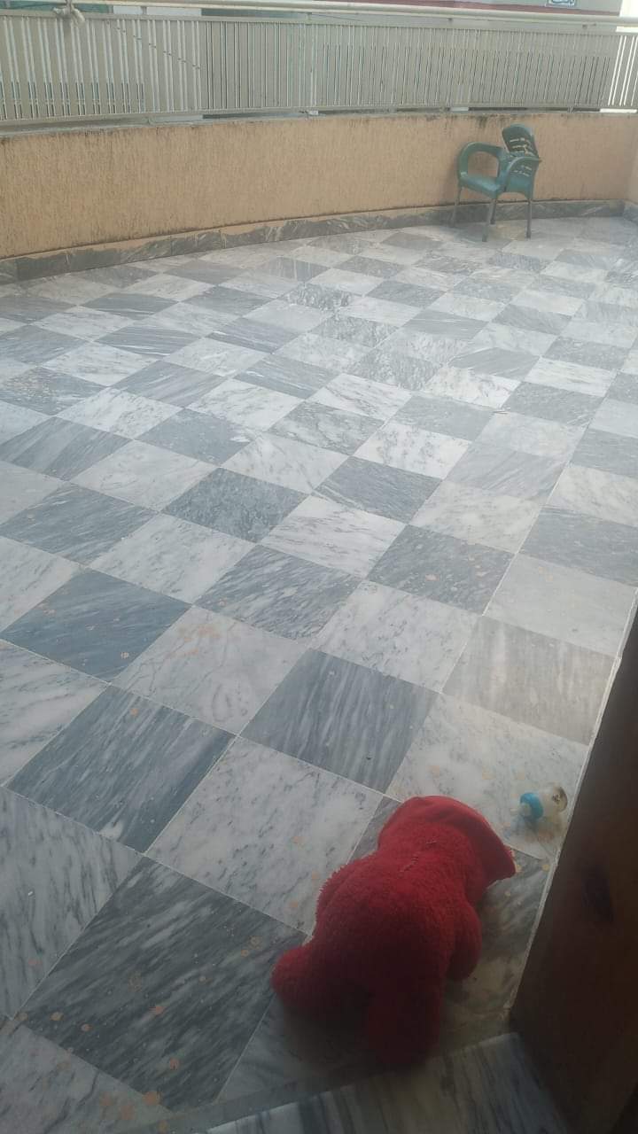 FB_IMG_1732341968141