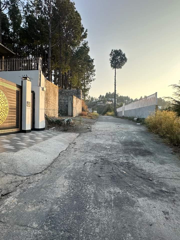 FB_IMG_1732363834221