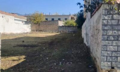 FB_IMG_1732366040617