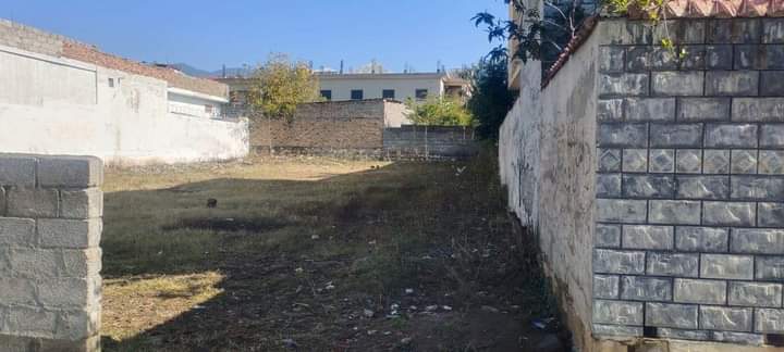 FB_IMG_1732366040617