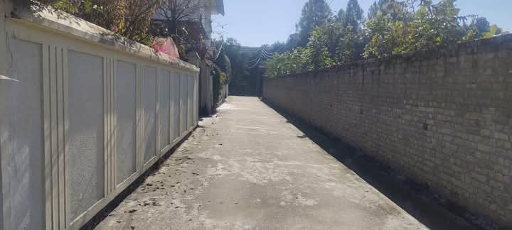 FB_IMG_1732366052681