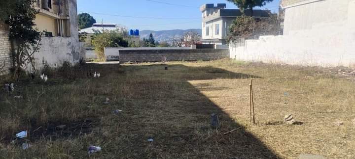 FB_IMG_1732366055973