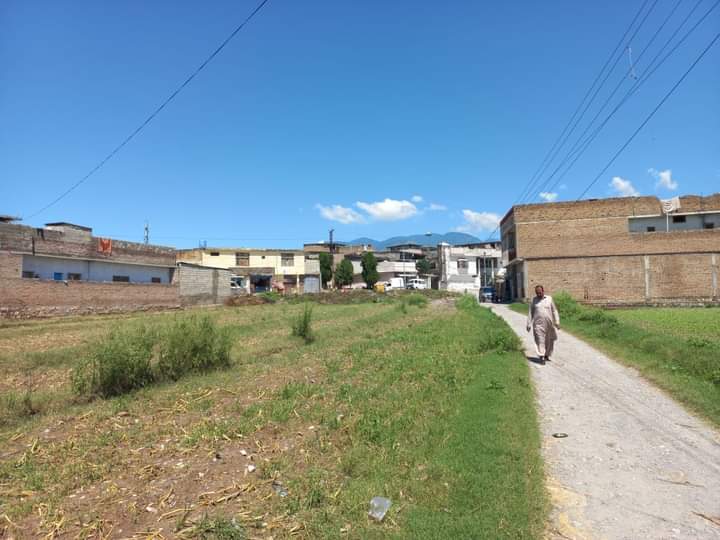 FB_IMG_1732366658591