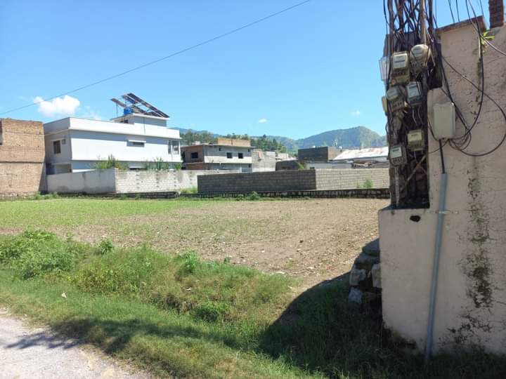 FB_IMG_1732366660412