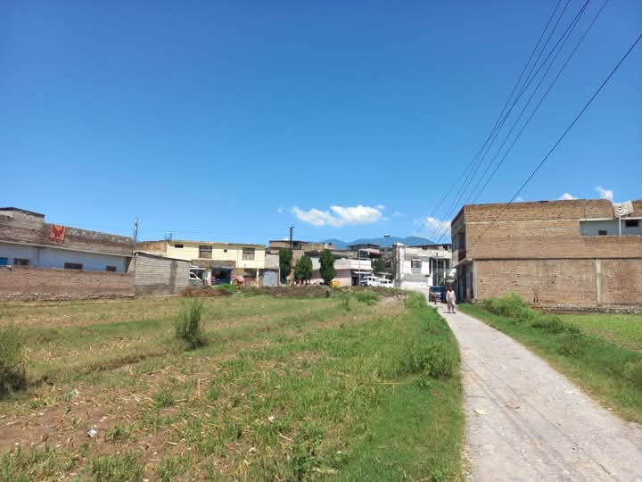 FB_IMG_1732366662155