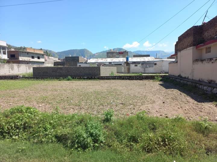 FB_IMG_1732366666465