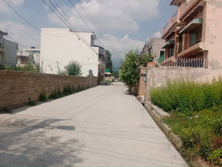 FB_IMG_1732367142548