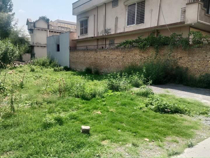 FB_IMG_1732367147045