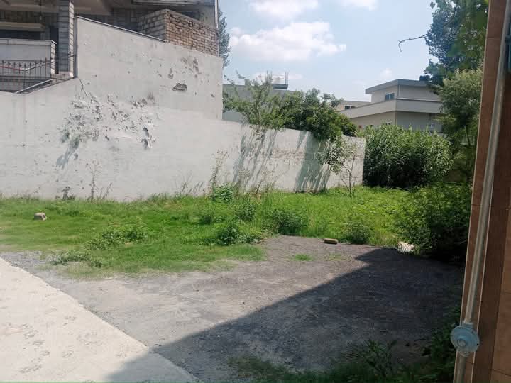 FB_IMG_1732367150318