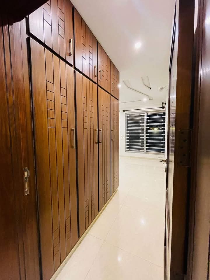 FB_IMG_1732522117606