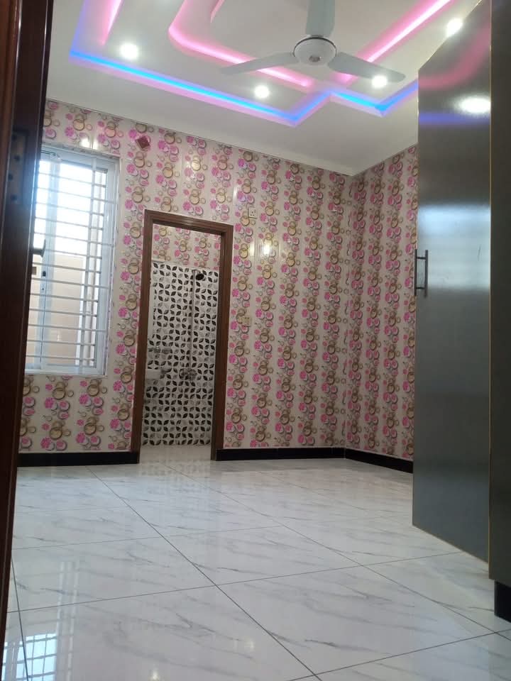 FB_IMG_1732523446231