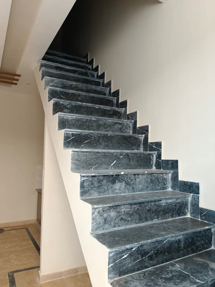 FB_IMG_1732549694927