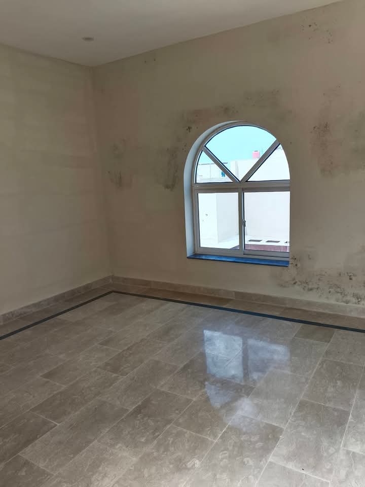 FB_IMG_1732549706423