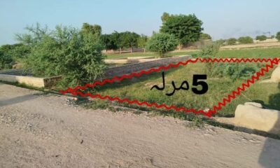 FB_IMG_1732589986709