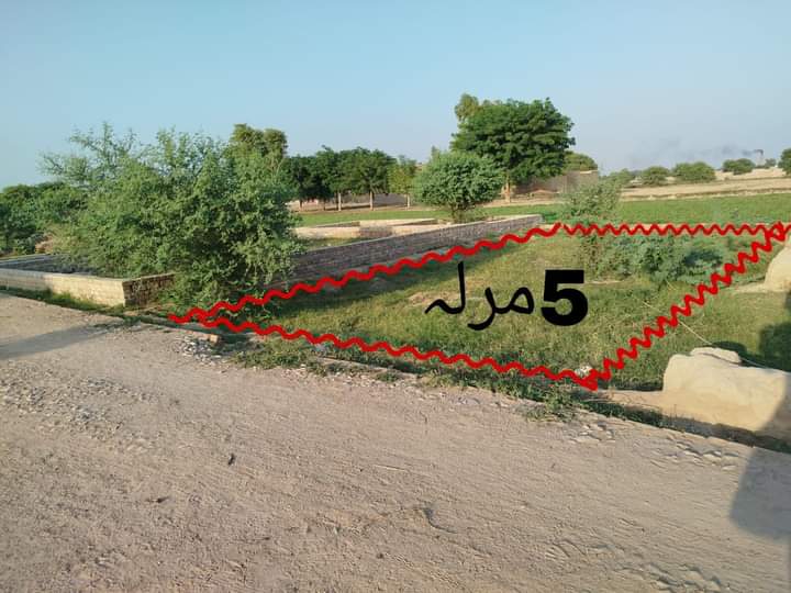 FB_IMG_1732589986709