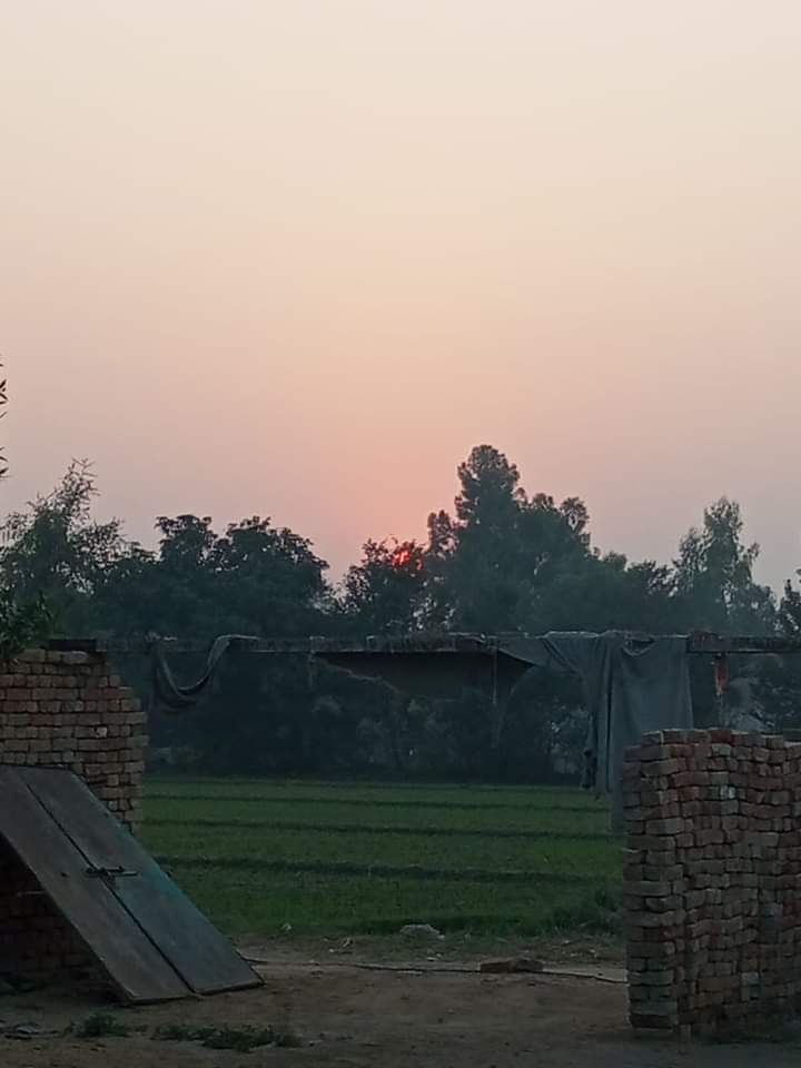 FB_IMG_1732614720044