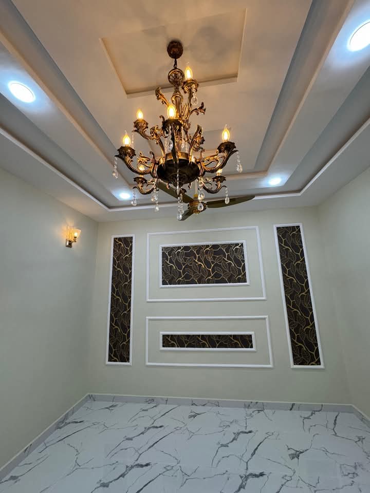 FB_IMG_1732619264030