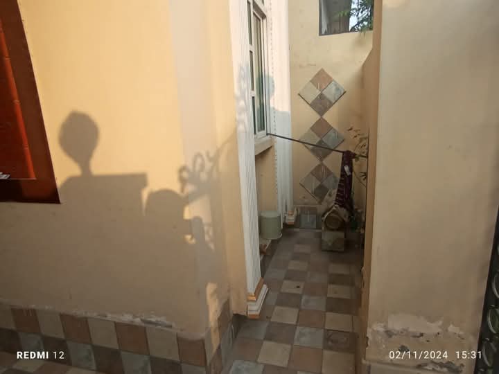 FB_IMG_1732641508634