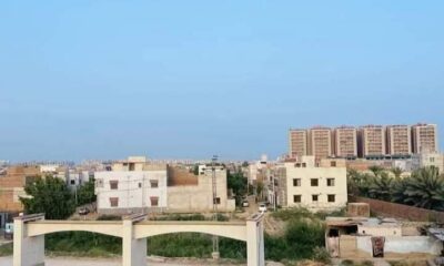 FB_IMG_1732681898707