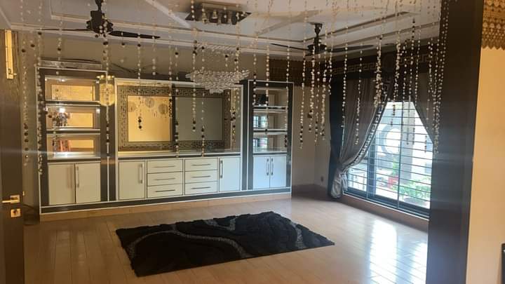 FB_IMG_1732894812761